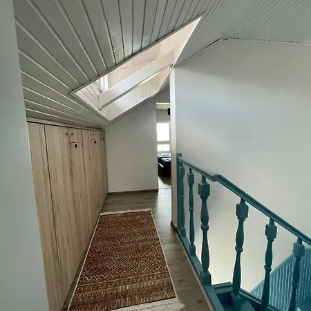 Z-homes Замарди